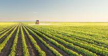 Should You Consider This Fresh Fruit and Vegetables Stock - FMC