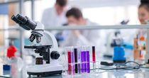 One Healthcare Company Can Face Resistance at the Current Levels - CSL