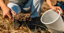 One Agriculture Sciences Company Strengthening Its Balance Sheet While Expanding Growth Pipeline- FMC