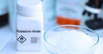 SQM Positioned for Operational Growth, Supported by Strategic Partnerships