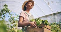 Is This Agricultural Sciences Stock Worth Considering – FMC?