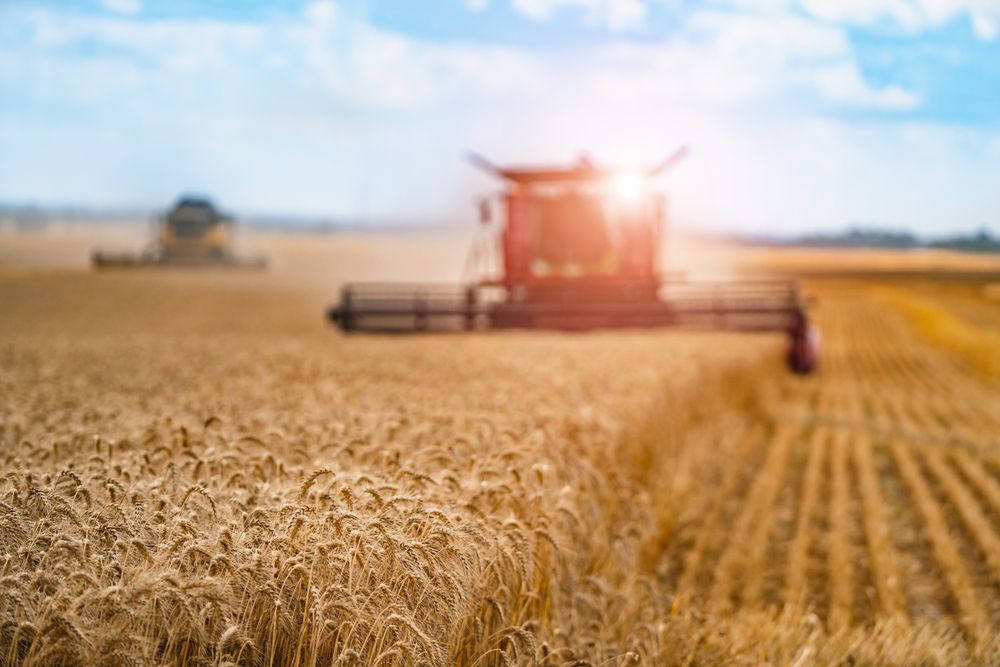 One Agriculture Chemical Stock with Decent Top-Line Growth - NUF