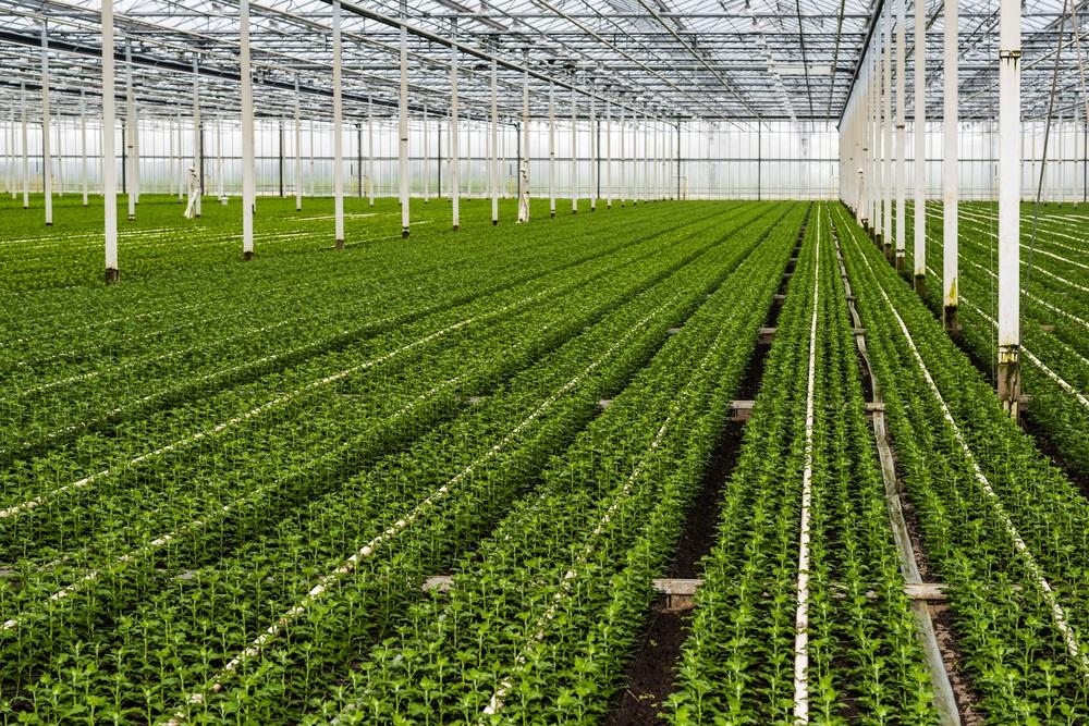 One Diversified Agribusiness Company May Face Resistance at Current Levels - GNC