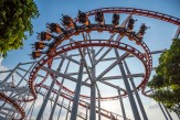 Hold or Watch for these 2 US Stocks: Walt Disney and Amneal Pharmaceuticals
