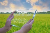 Stay Invested in These US-Listed Large-Cap Stocks – ADM, TTD, ZEN