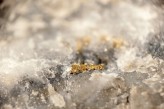 One Large Cap Metals & Mining Stock under the Radar- AEM