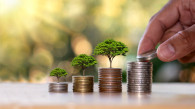 Book Profit on this NYSE-Listed Information Technology Stock: Oracle Corporation