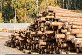 One Mid-Cap Basic Materials Stock to Punt On – CFP