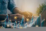Business Insights On One Consumer Discretionary Stock– BYD