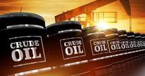 One Energy Stock Under the Lens - POU