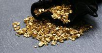 Business Insights on  one Gold   Stock– KNT