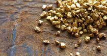 Business Insights on One Materials Stock – IMG