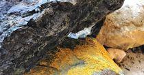 One Uranium  Stock to Consider at Current Levels– DML
