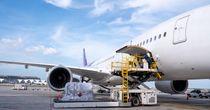 Technical Analysis on One TSX-Listed Stock – FLT
