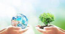 Business Insights on  one Industrials  Stock– GFL