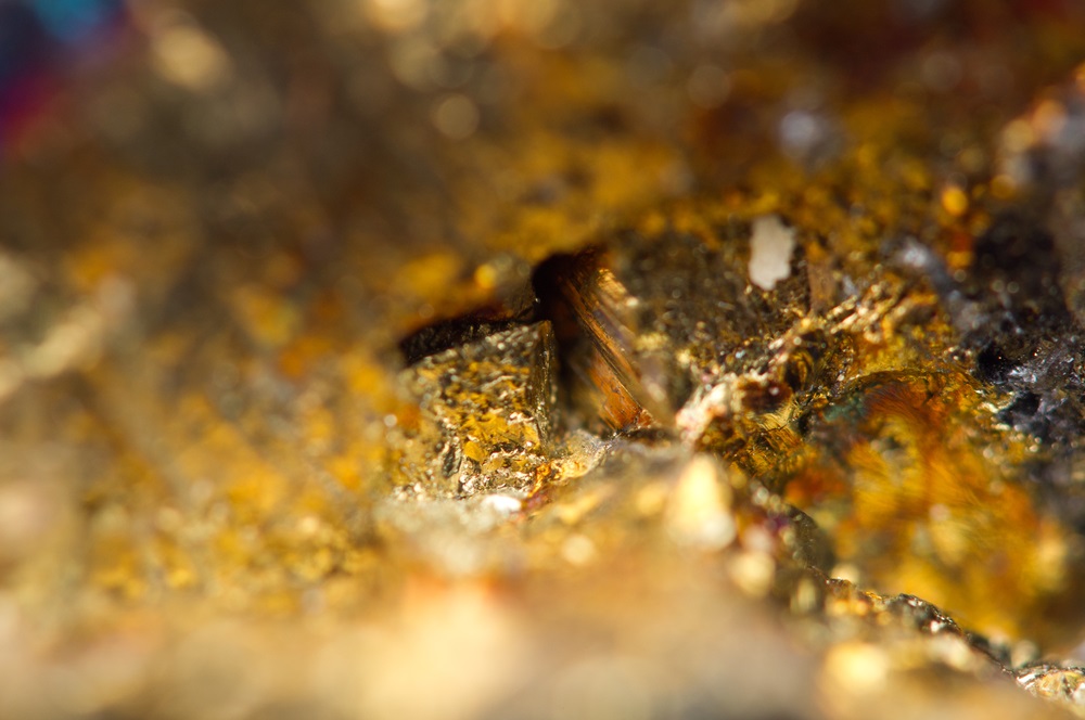 One Gold Stock to Hold - EQX