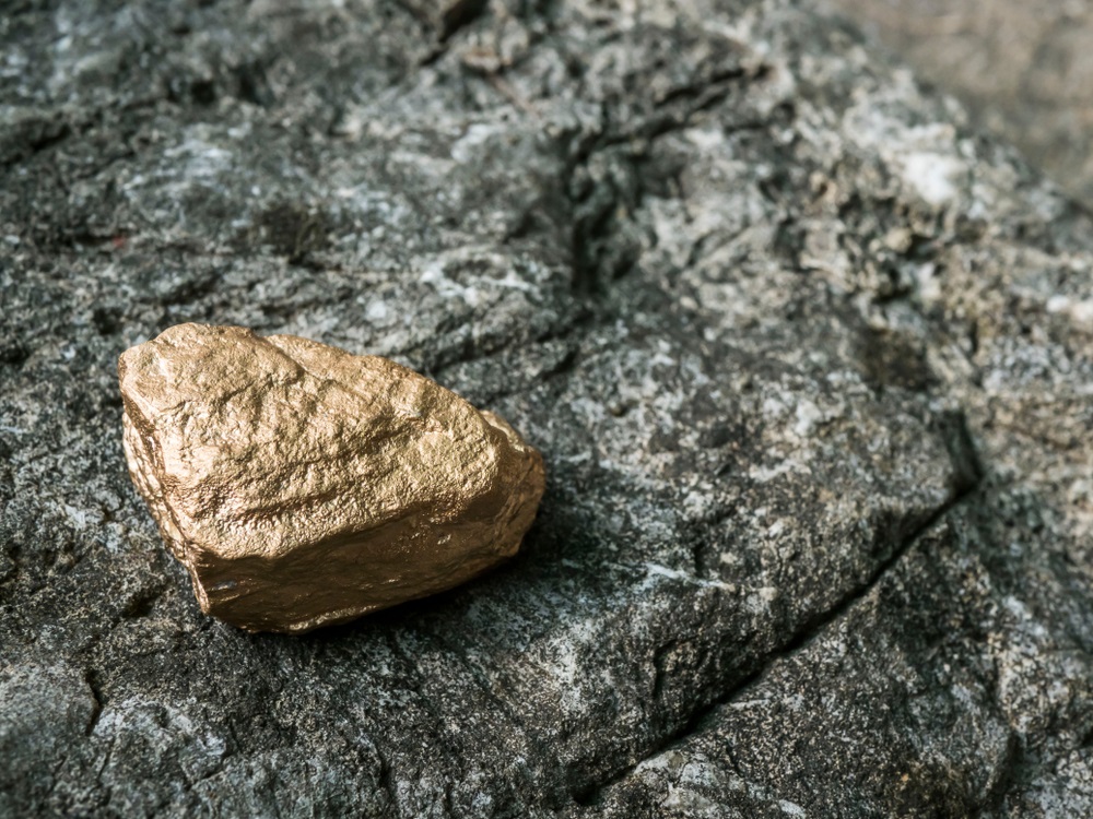 Two US Stocks to Punt on: Gold Resource Corp and Interpace Biosciences Inc