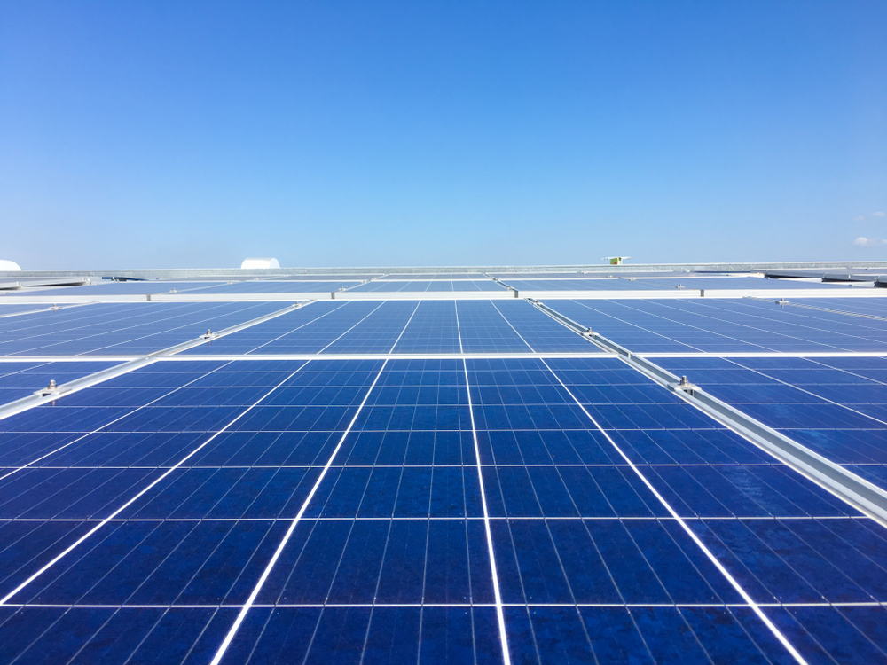 Should You Buy One Global Energy Stock and One Biotech Stock – CSIQ, FOLD