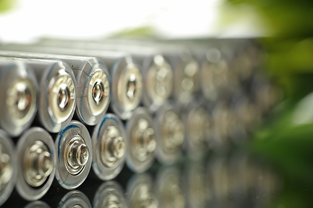 Should You Invest in This Battery Stock--ENR
