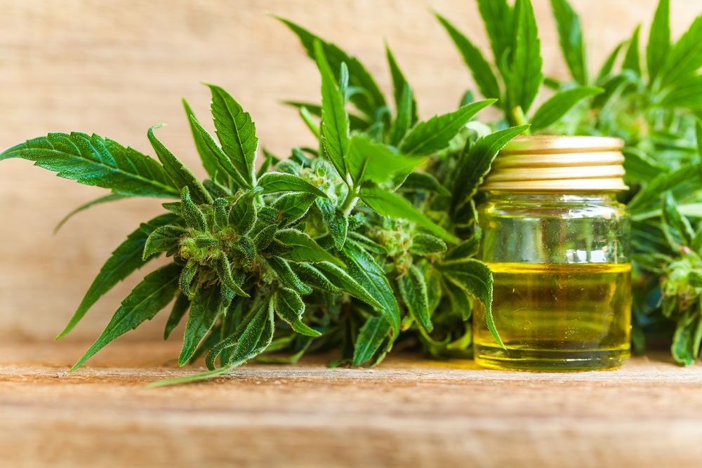  One Small Cap Cannabis Stock to Punt On- ACB