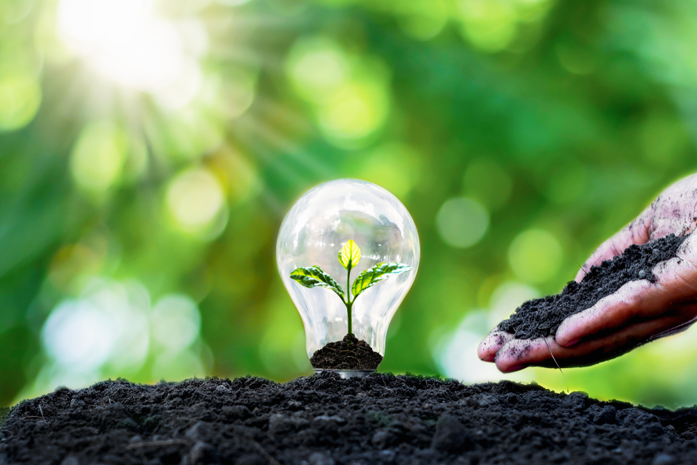 Punt on This NYSE-Listed Utilities Stock – AZRE