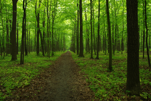 One Small-Cap Industrial Stock under the radar – HDI