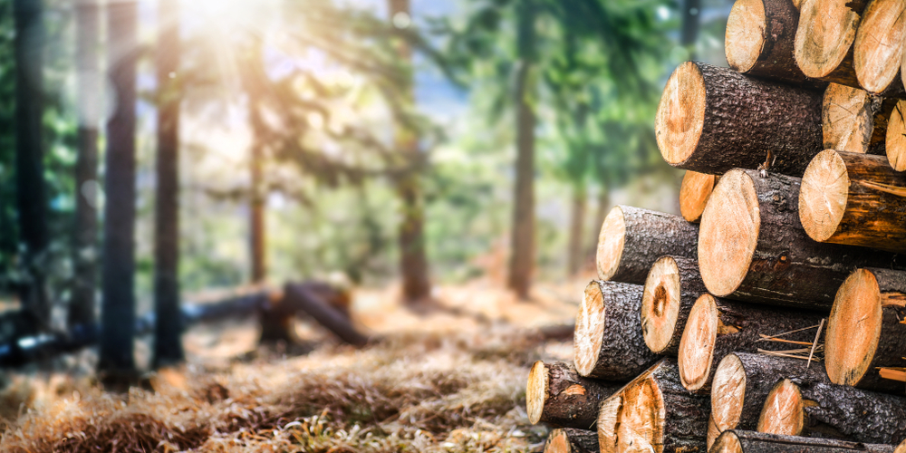 One Small-Cap Industrial Stock to Punt on- HDI