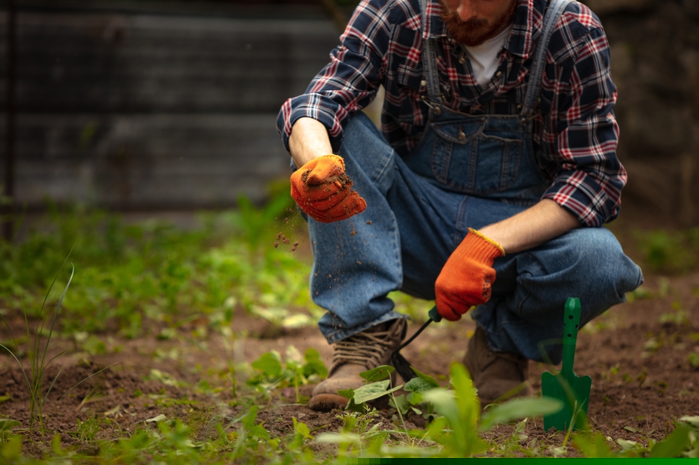 Is This Agricultural Input Stock a Buy – SMG