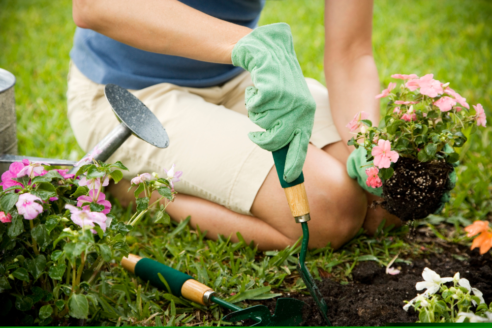 How is Business Trending In This Gardening Stock – SMG