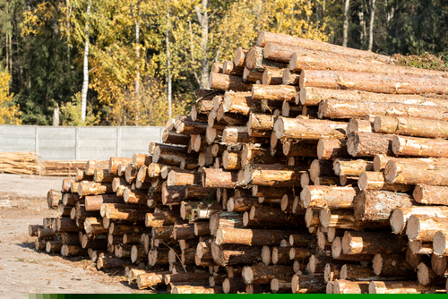 One Mid-Cap Basic Materials Stock to Punt On – CFP