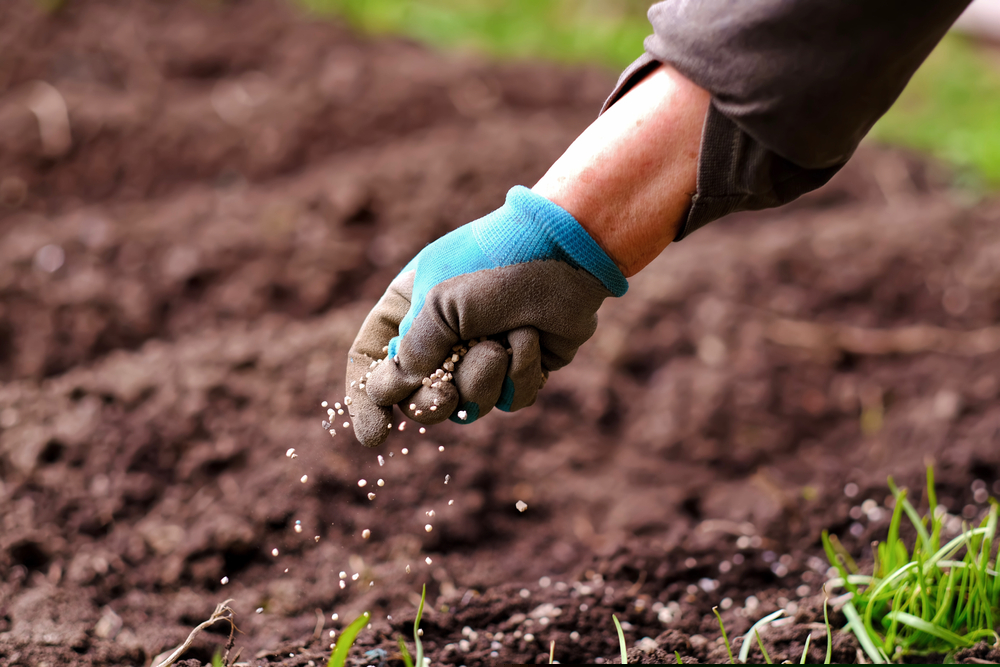 One Fertilizer Stock to Consider Amid Rising Inflationary Scenario