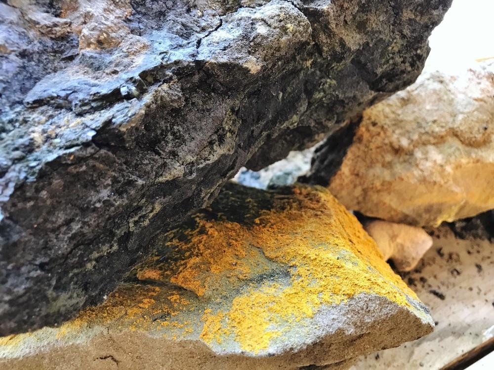 One Uranium  Stock to Consider at Current Levels– DML