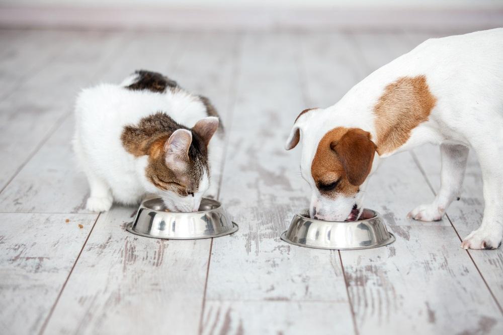Pet Valu Holdings Clocking Steady Growth and Market Expansion: PET