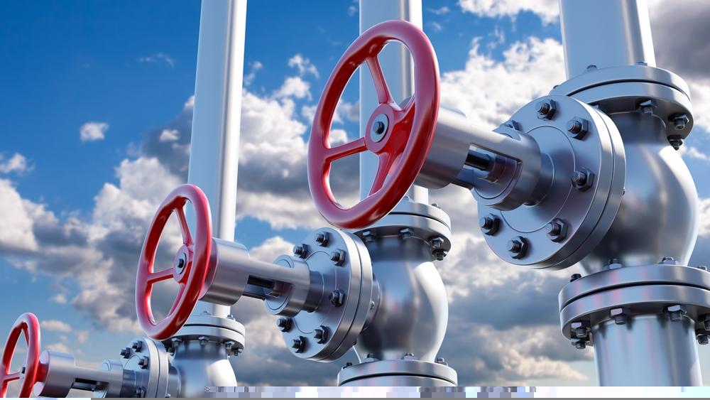 Is Earnings Volatility and Commodity Price Exposure Confining ARX’s Growth Trajectory?