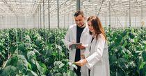 Is This Agricultural Stock Worth Considering – FMC