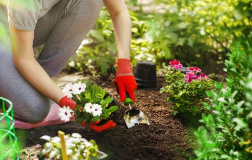 Should You Book Profit on This Crop Protection Stock - NUF