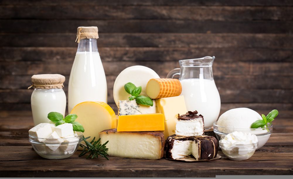 Business Insights on One Dairy Business - FCG