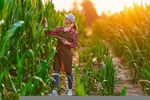 One Agribusiness Stock Trading Near Resistance Level- BG