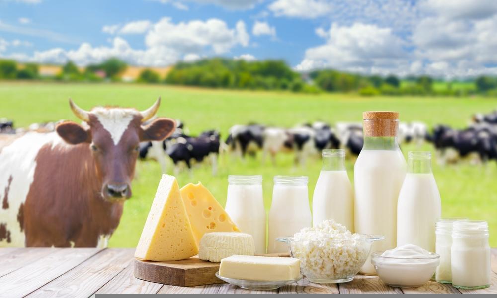 One Dairy Stock Possessing Decent Growth Prospects – FCG