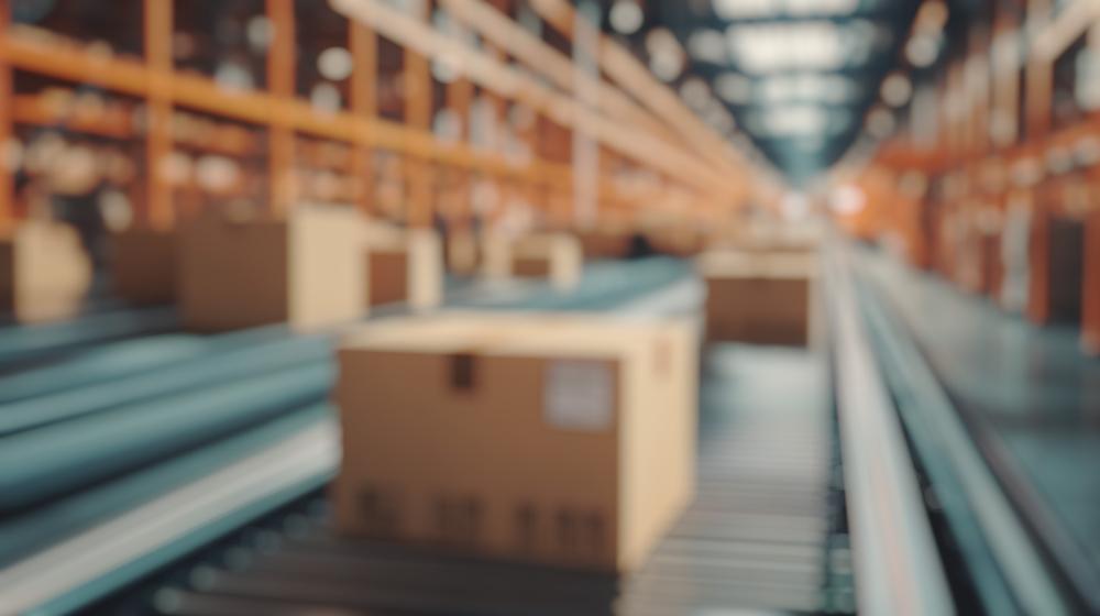 WHS Builds Momentum with Profitable Growth and Strategic Expansion