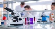 Technical Analysis Report on One US - Listed Stock - NTLA