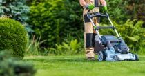 Can This Gardening Stock Deliver Long-term Growth - SMG