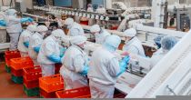 Market Update on One Food Products Company - ABF