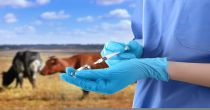 One NYSE-Health Care to Consider: Elanco Animal Health Incorporated