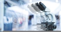 One NASDAQ- Listed Pharmaceutical Stock at Support Levels- Royalty Pharma PLC