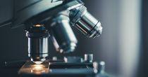 Clinical Trial Challenges Weigh on LSE-Listed Biotech Stock - SAR