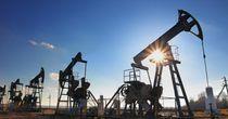 Financial Highlights on One Natural Resources Stock Post FY24 Results - GLEN