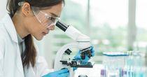 Update on an LSE Listed Global Pharmaceutical Company Post Q1 FY25 Results- INDV