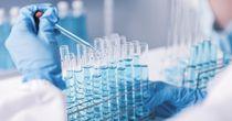 Hemogenyx’s Science Ambition Meets Funding Reality: Can Momentum Survive - HEMO?