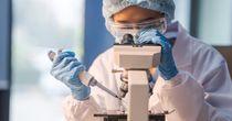 Bioventix’s Royalty Engine Faces A Reality Check: Is Growth Peaking - BVXP?